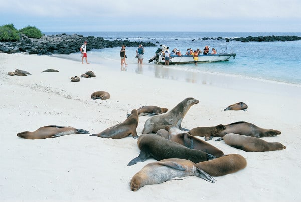 Exploring the Galapagos islands on one of AE Expeditions' Ecuador adventures.