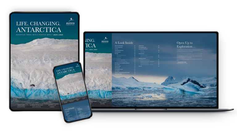 Antarctica Brochure Mockup