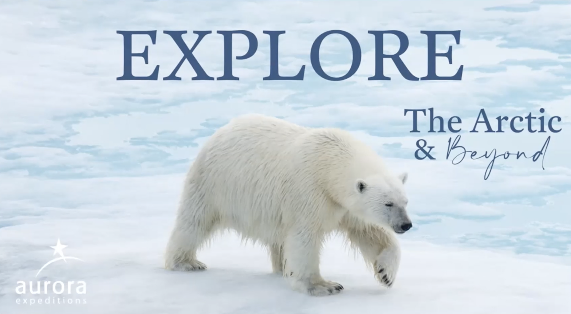 Explore the Arctic & Beyond